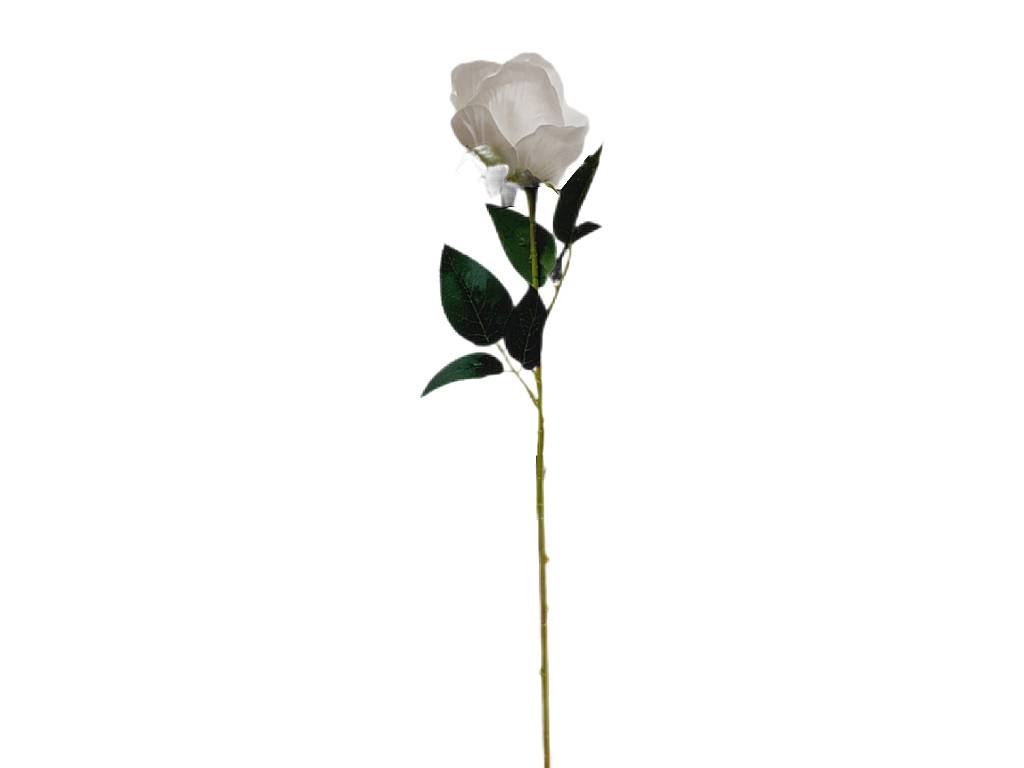 Růže 51 cm bílá