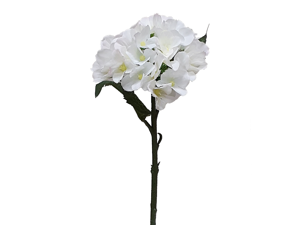 Hortenzie 28cm color
