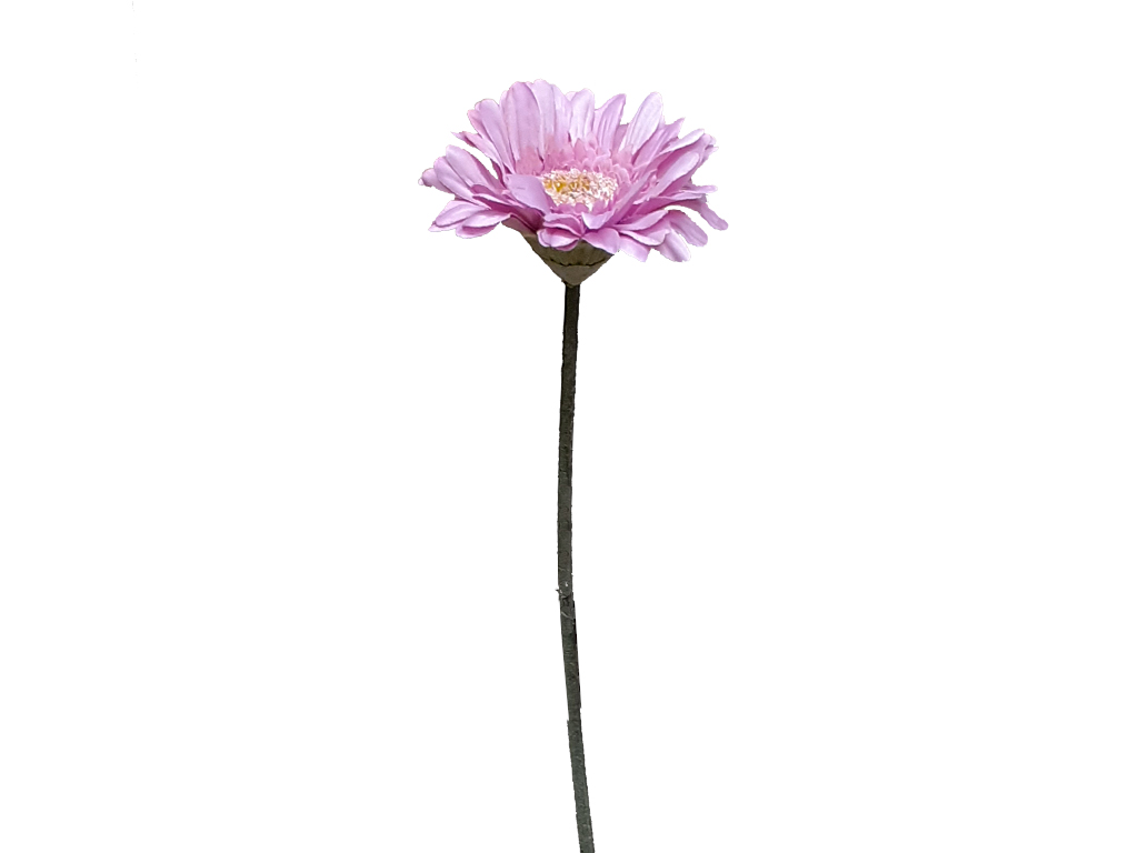 Gerbera růžová 45 cm