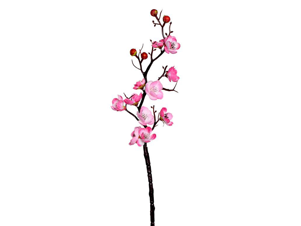 Větev švestka růžová 60cm