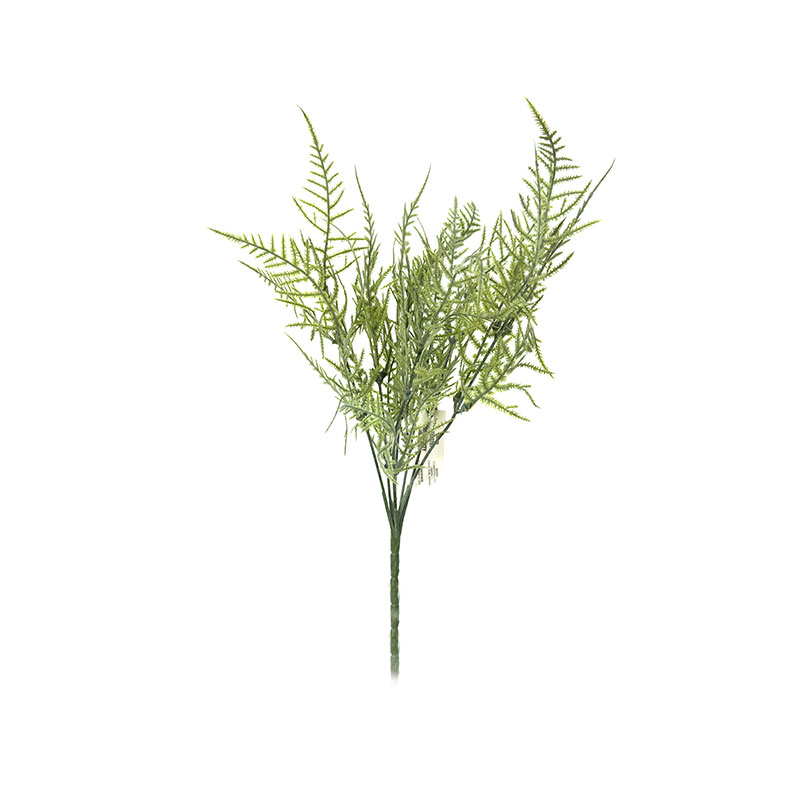 Kapradina světle zelená 35 cm