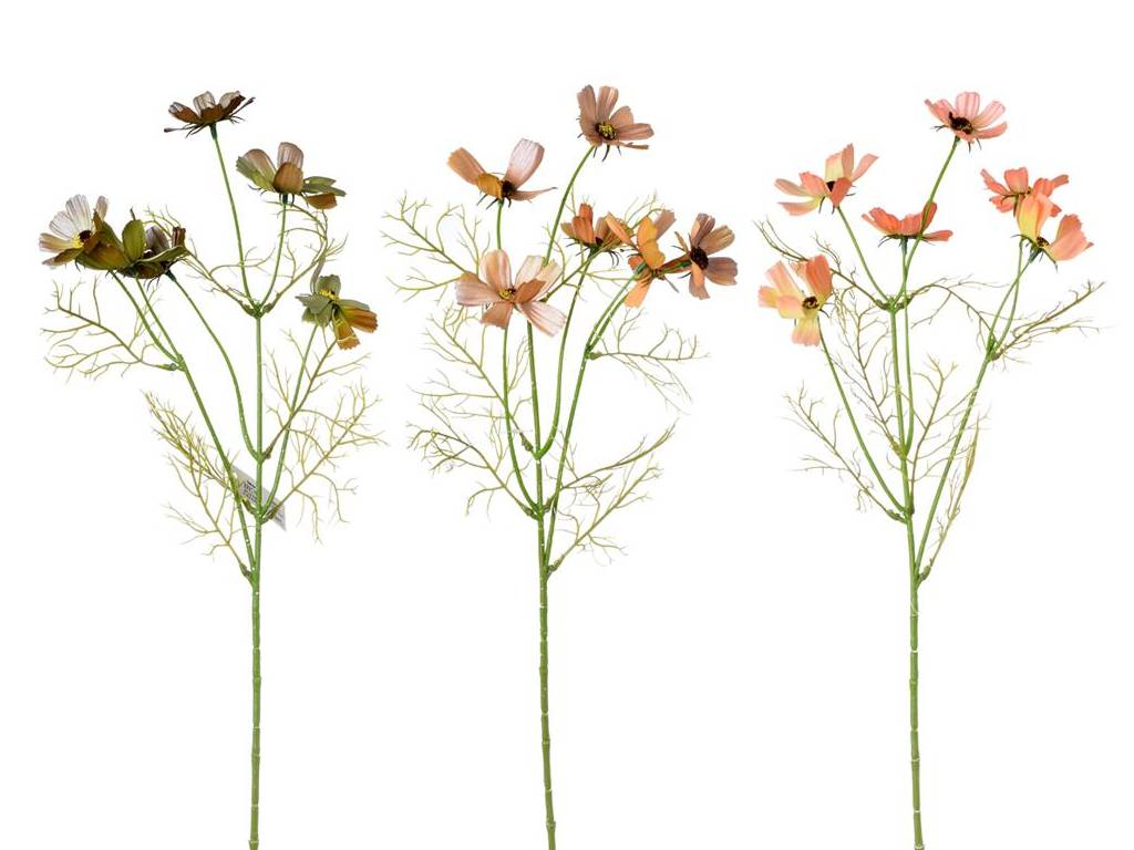 Cosmos 60 cm perleť color