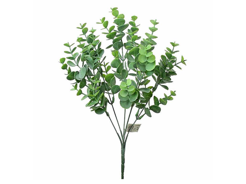 Eucalyptus zelený 36 cm