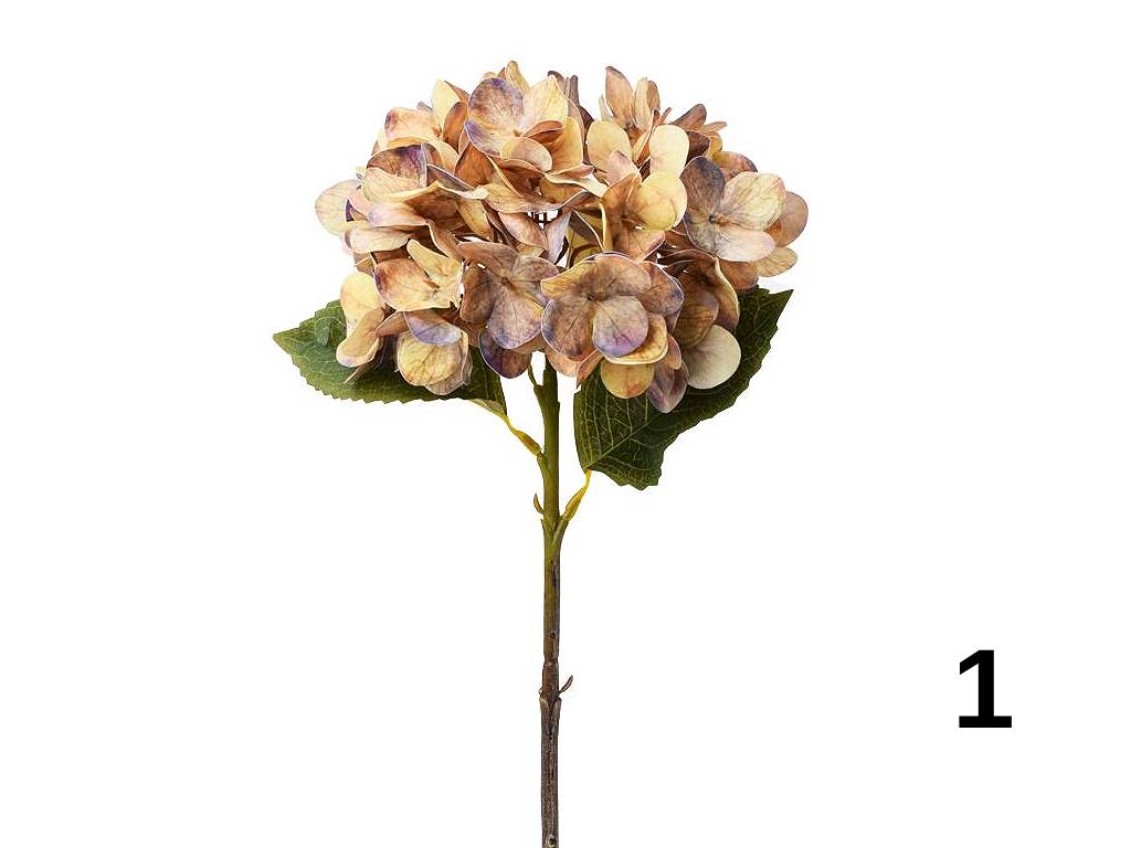 Hortenzie 44 cm color