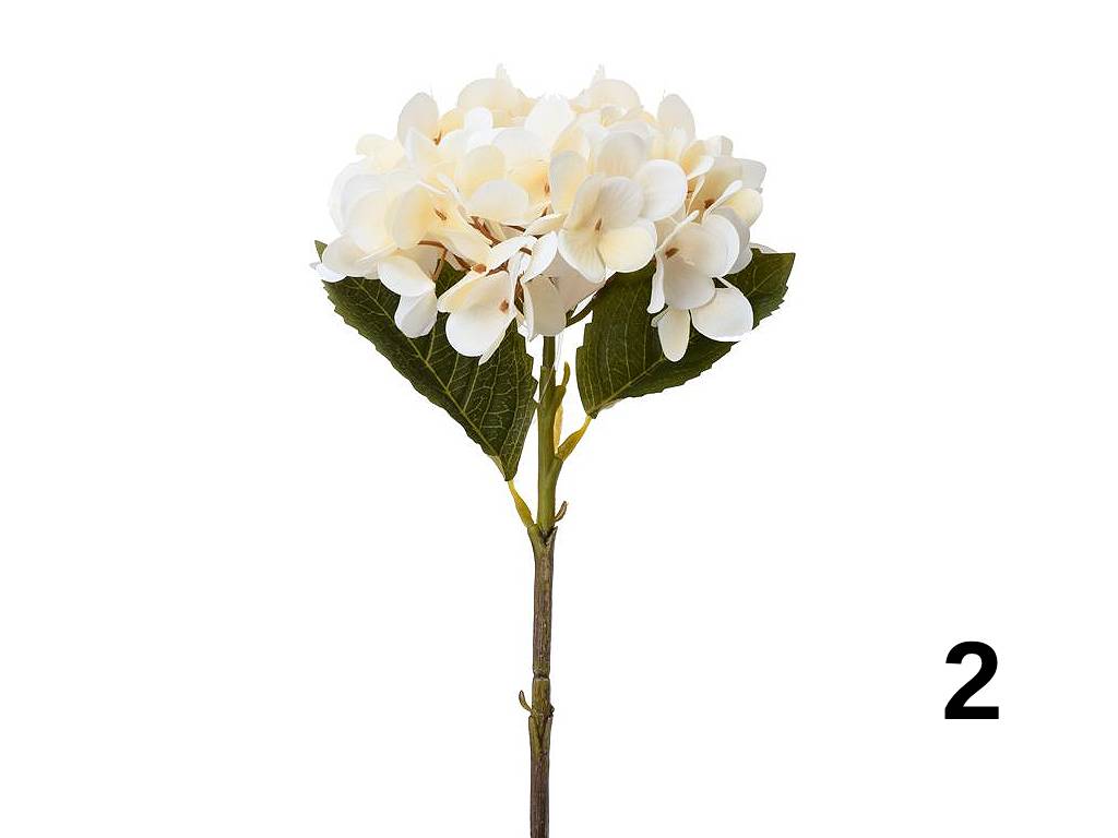 Hortenzie 44 cm color
