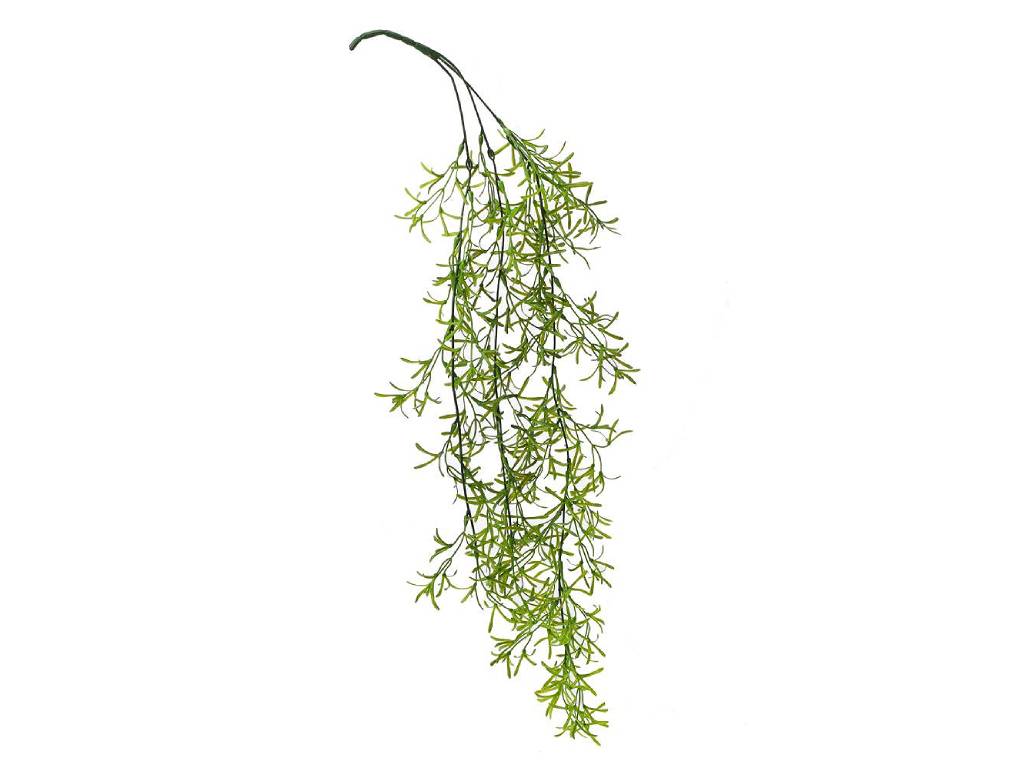 Asparagus 75cm převis