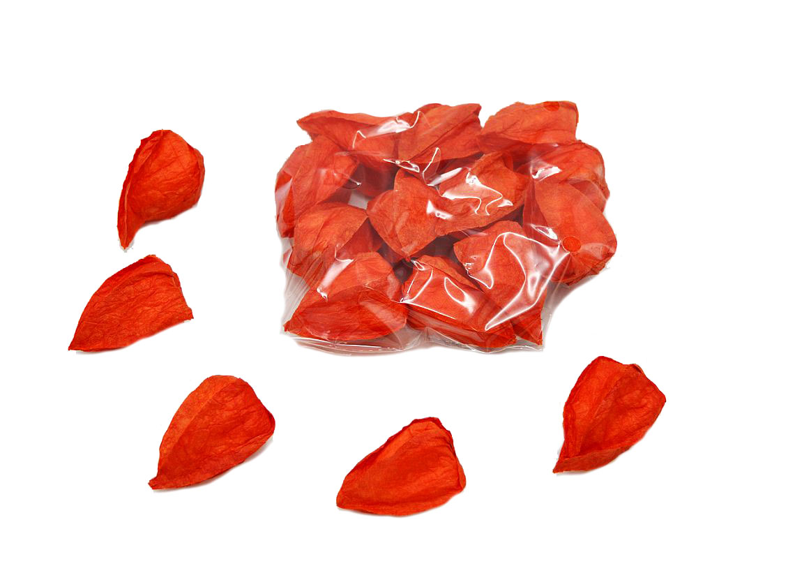 Mochyně květ 12 ks