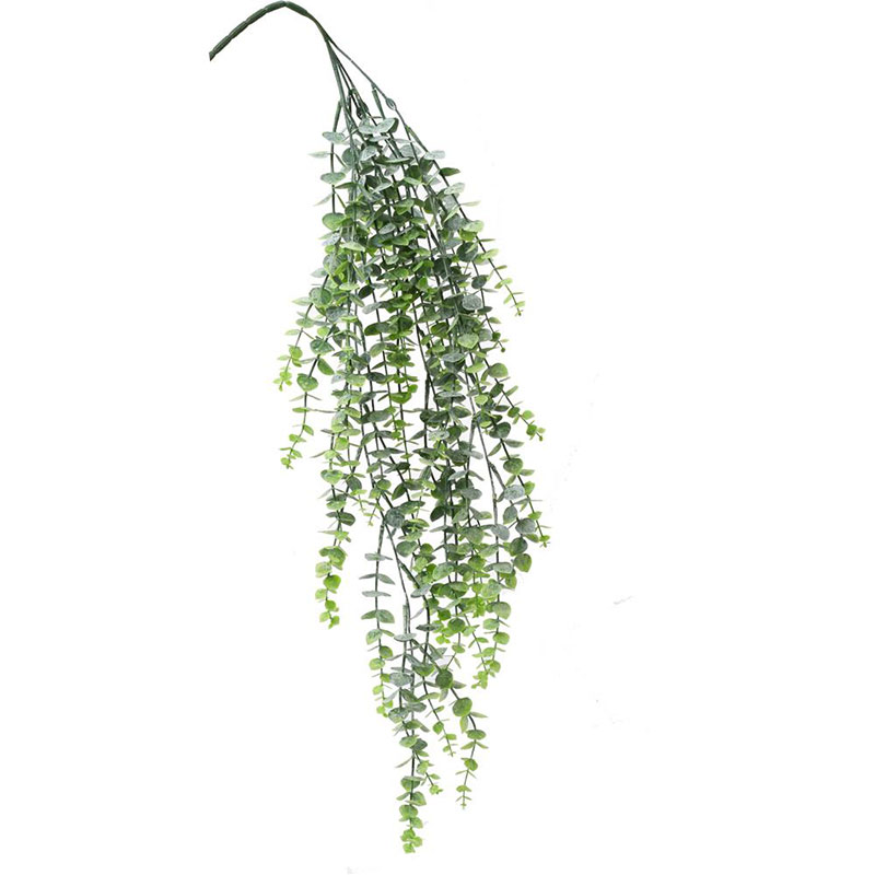 Eucalyptus drobný 83 cm převis bílozelený