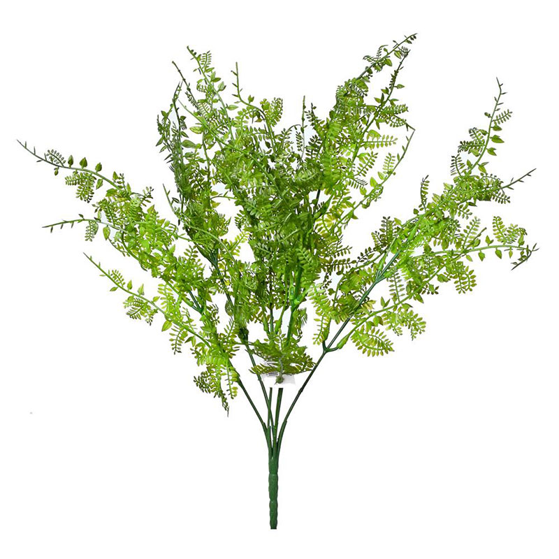 Kapradina šedozelaná 35 cm