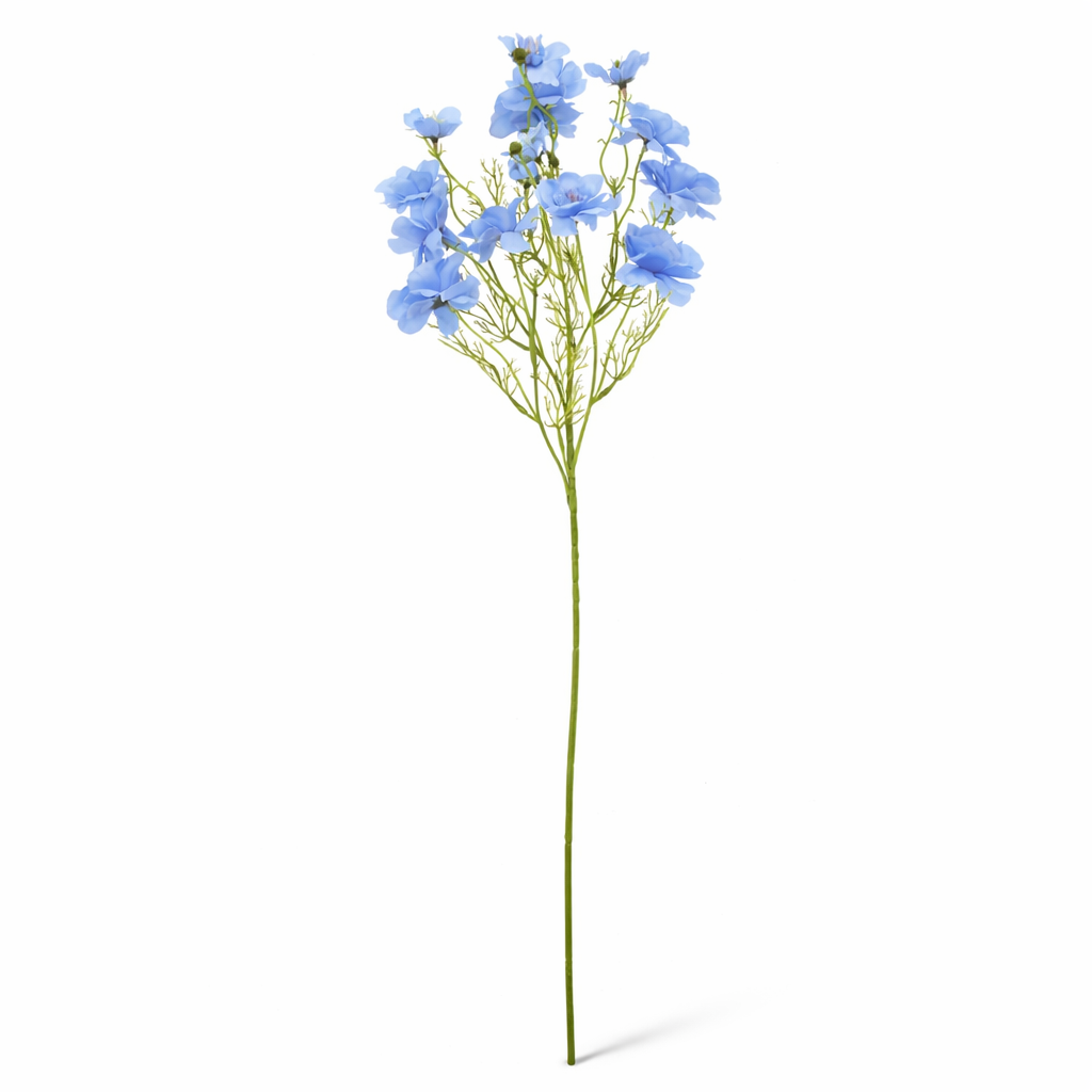 Delphinium modré 75 cm