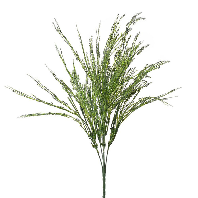 Tráva zelenobílá 43 cm