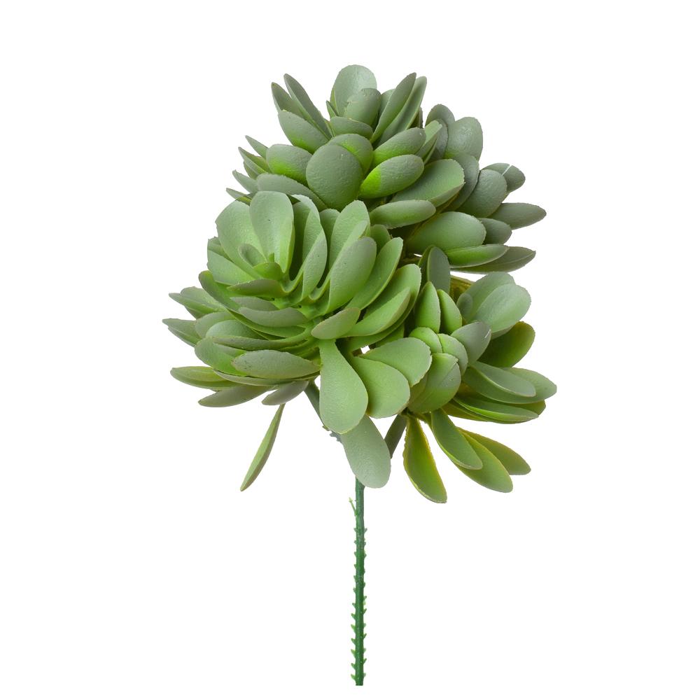 Větvička sukulent světlezelená 19 cm