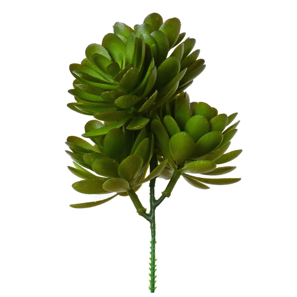 Větvička sukulent tmavězelená 19 cm