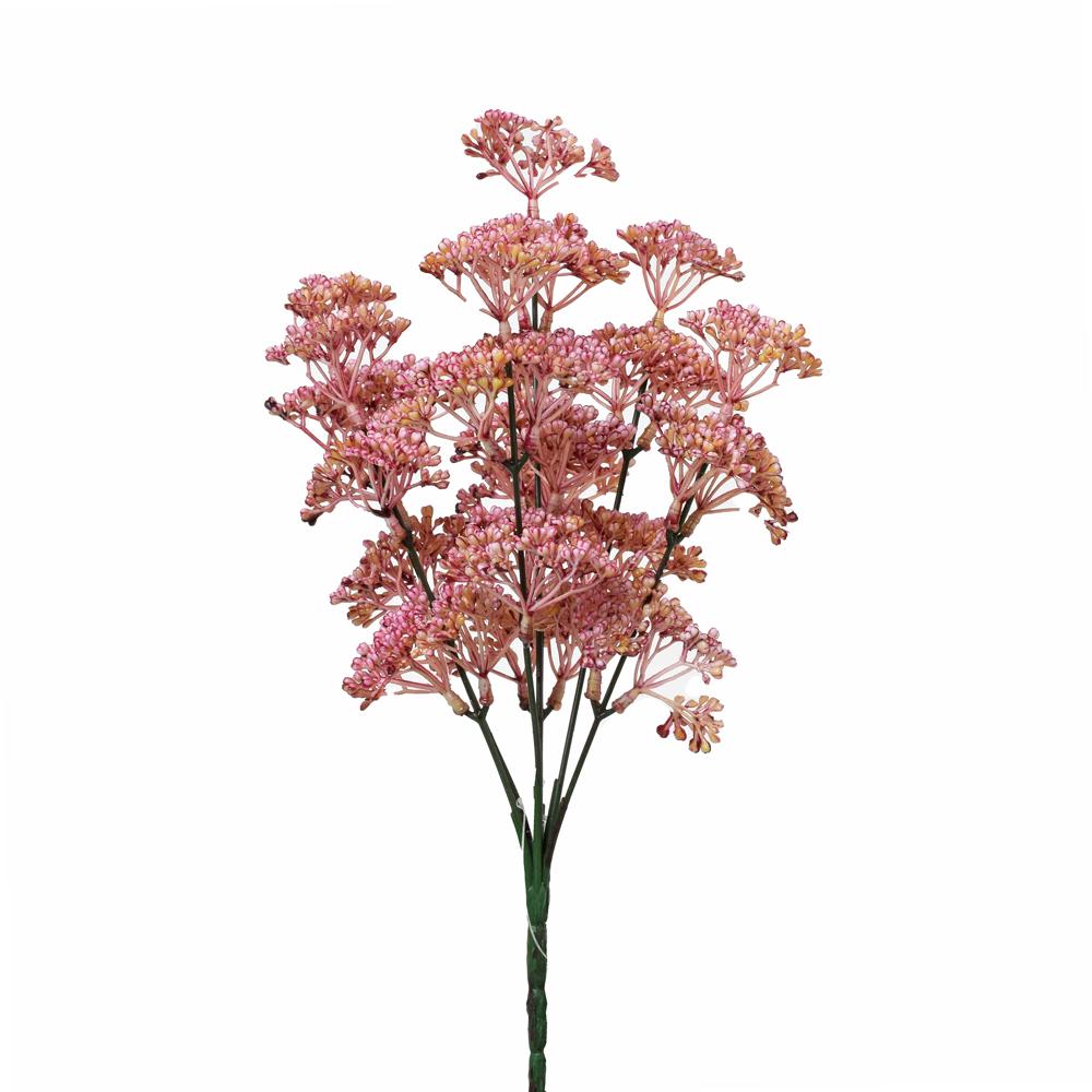 Trachelium růžové 30 cm