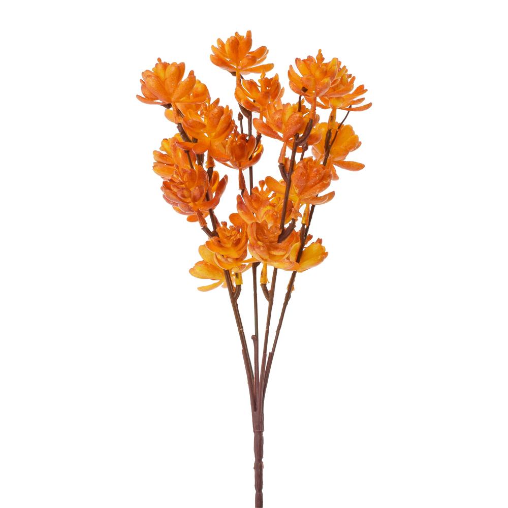Větvička sukulent oranžová 30 cm
