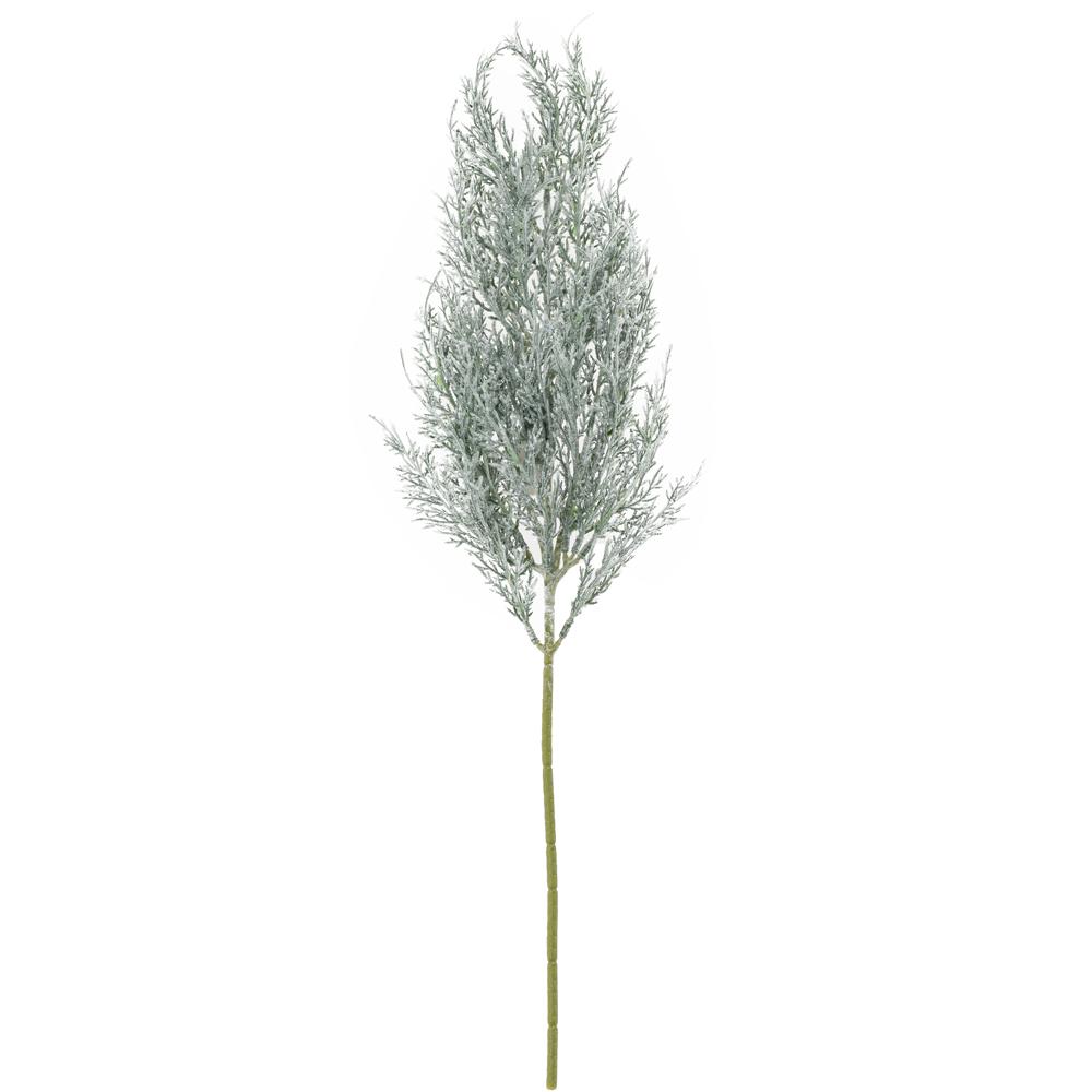 Thuje zelenobílá 64 cm