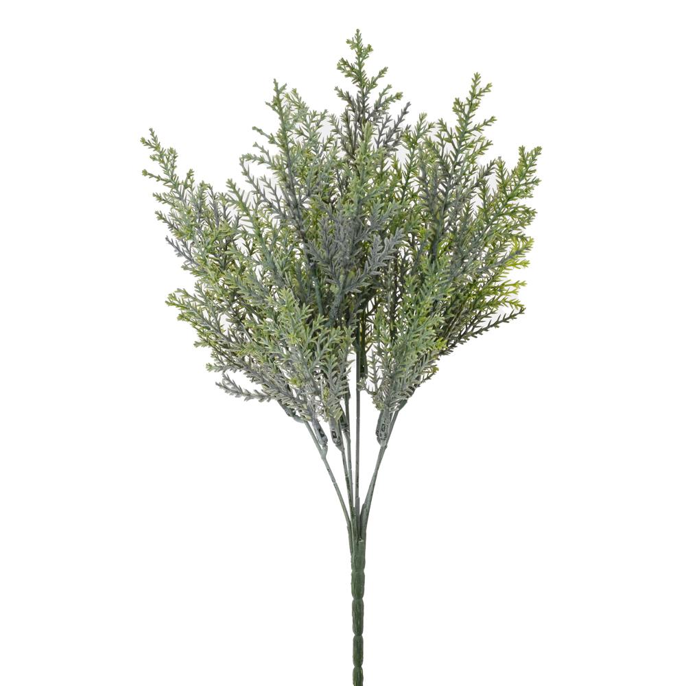 Thuje zelenobílá 32 cm