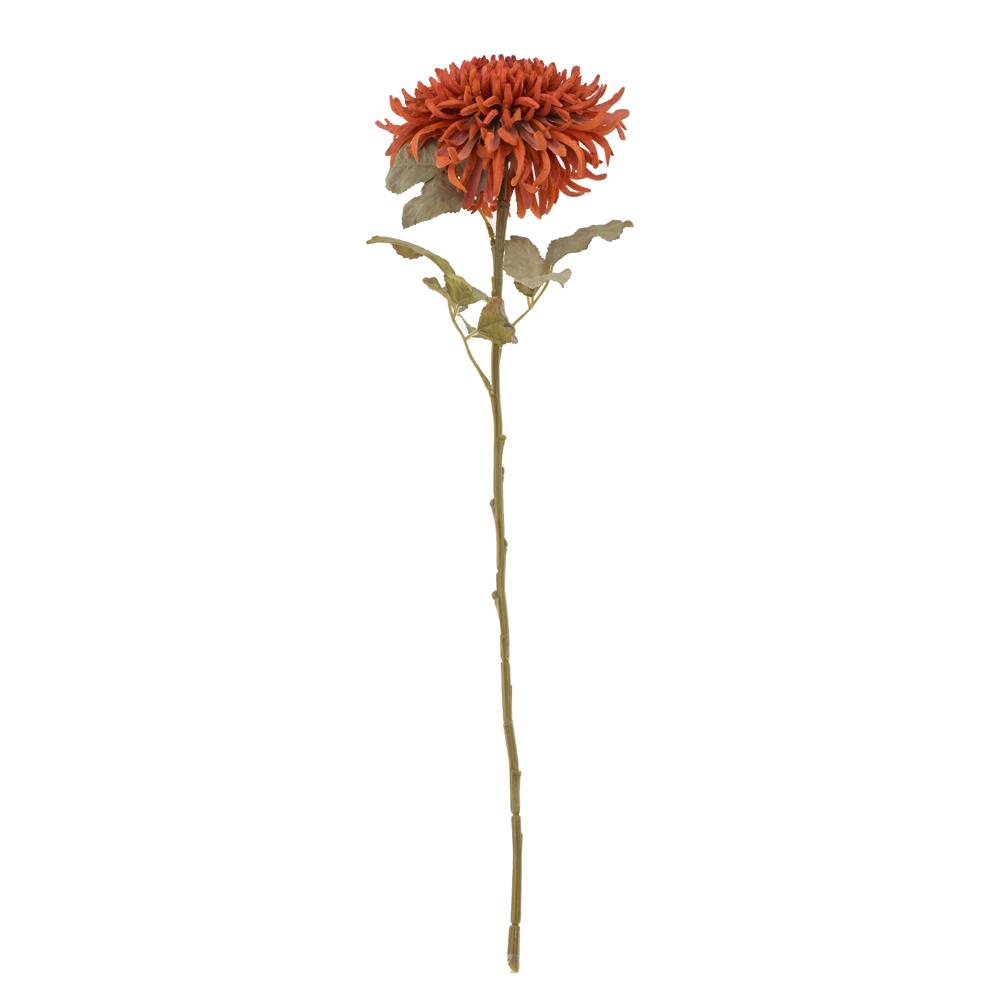 Chryzantéma 65 cm teracota