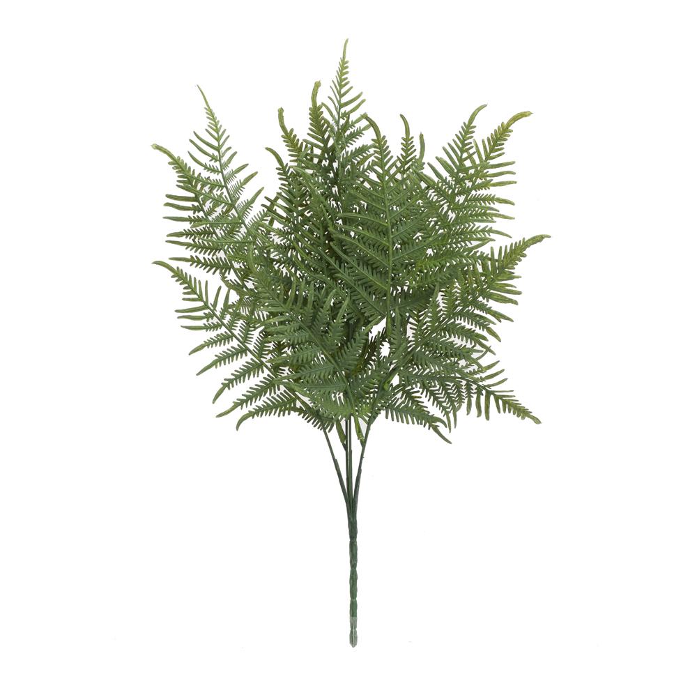 Kapradina tmavě zelená 40 cm