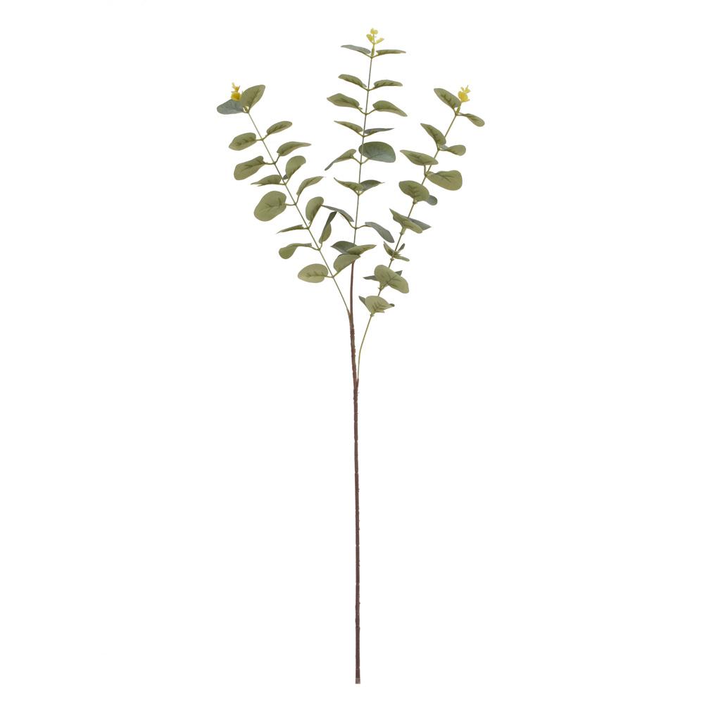 Eucalyptus 83 cm zelený