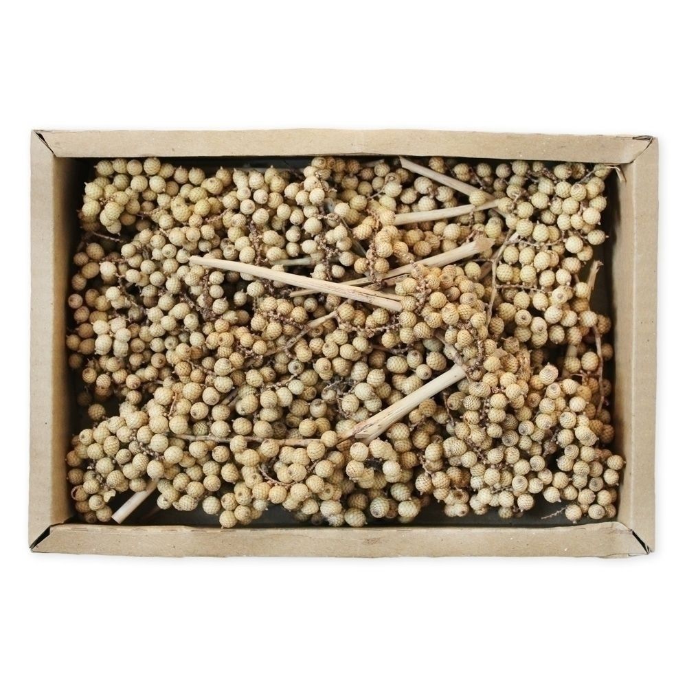 Canella small 35 ks naturál