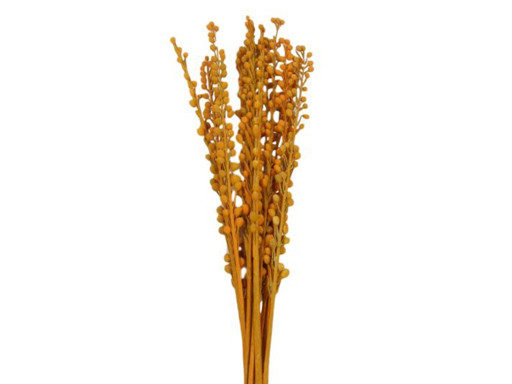 Monti stick oranžová