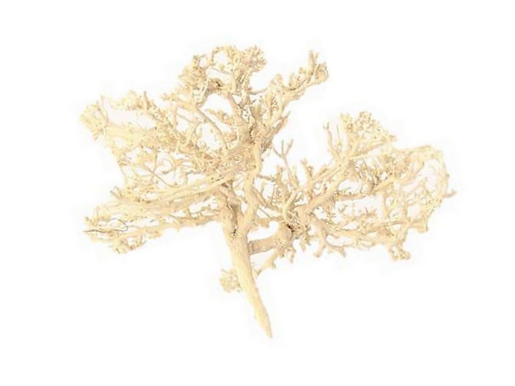 Tree skeleton bělený 250 g