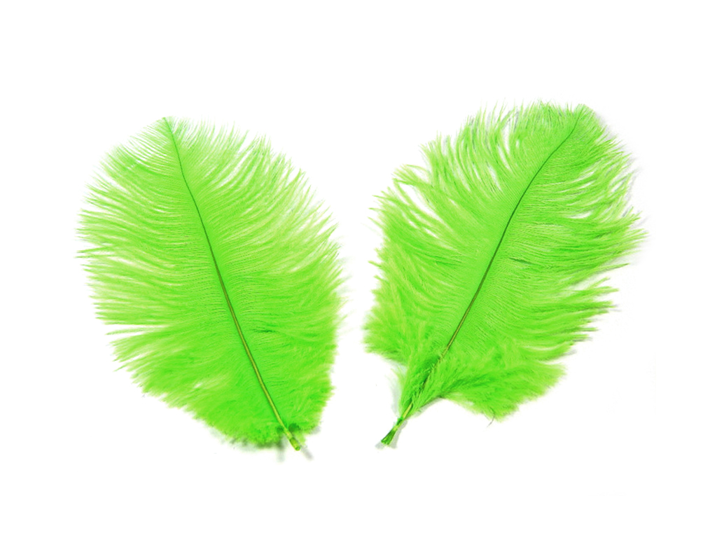 Pštrosí pera zelená 10-12 cm 350 g