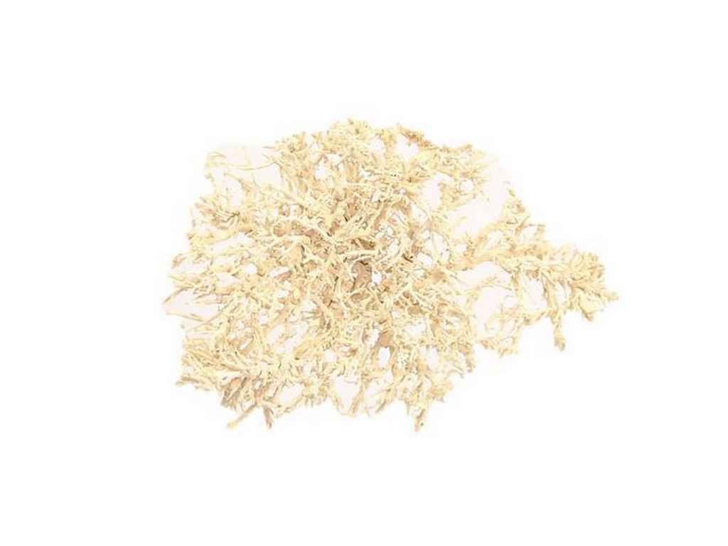 Tree skeleton bělený 250 g