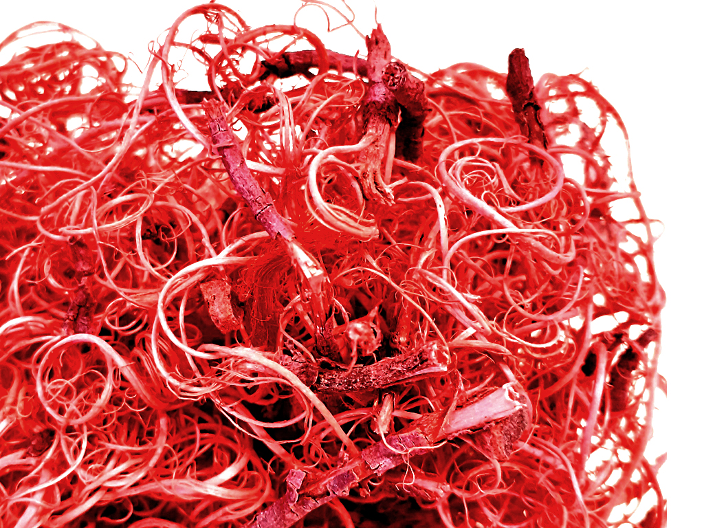 Curly moose 0,20 kg červený