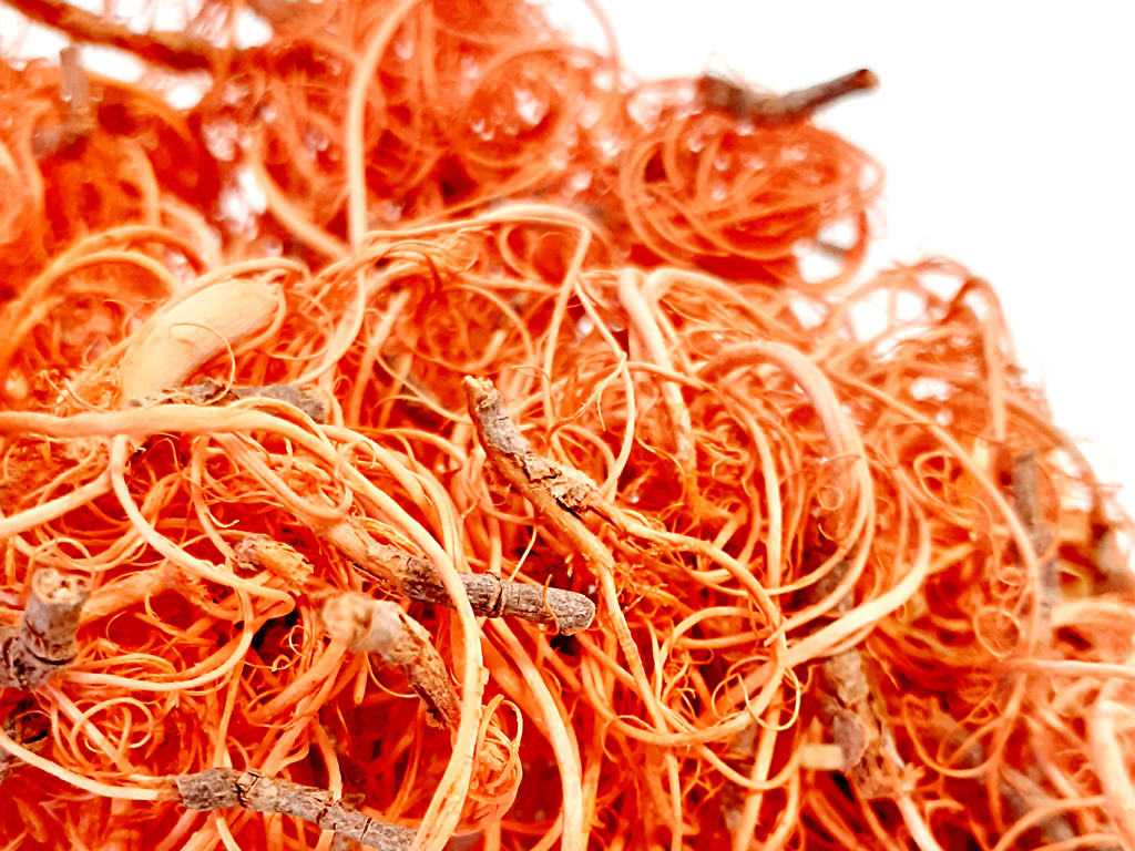 Curly moose 0,20 kg oranžový