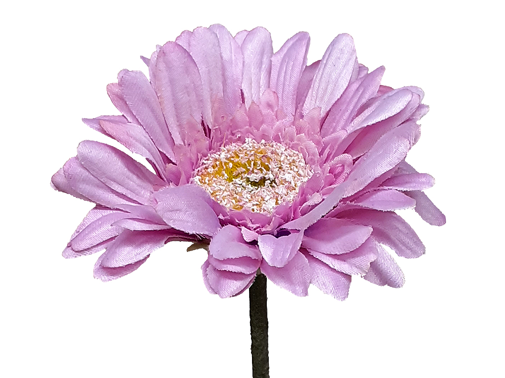 Gerbera růžová 45 cm