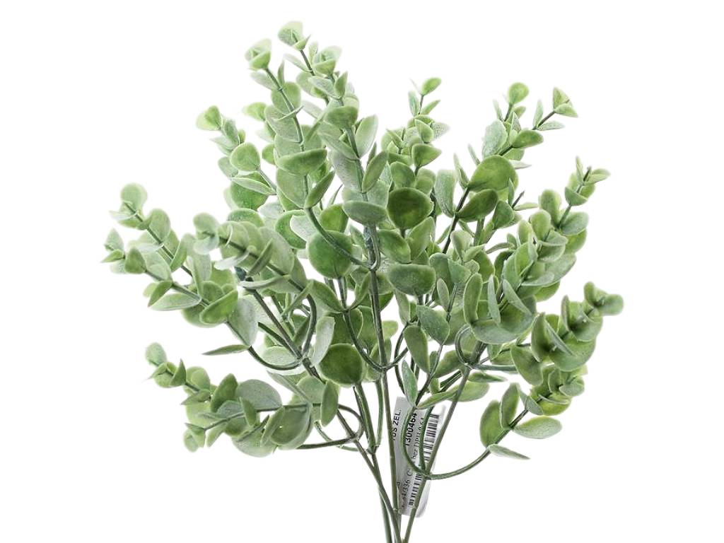 Větvička eucalyptus 30 cm zelený