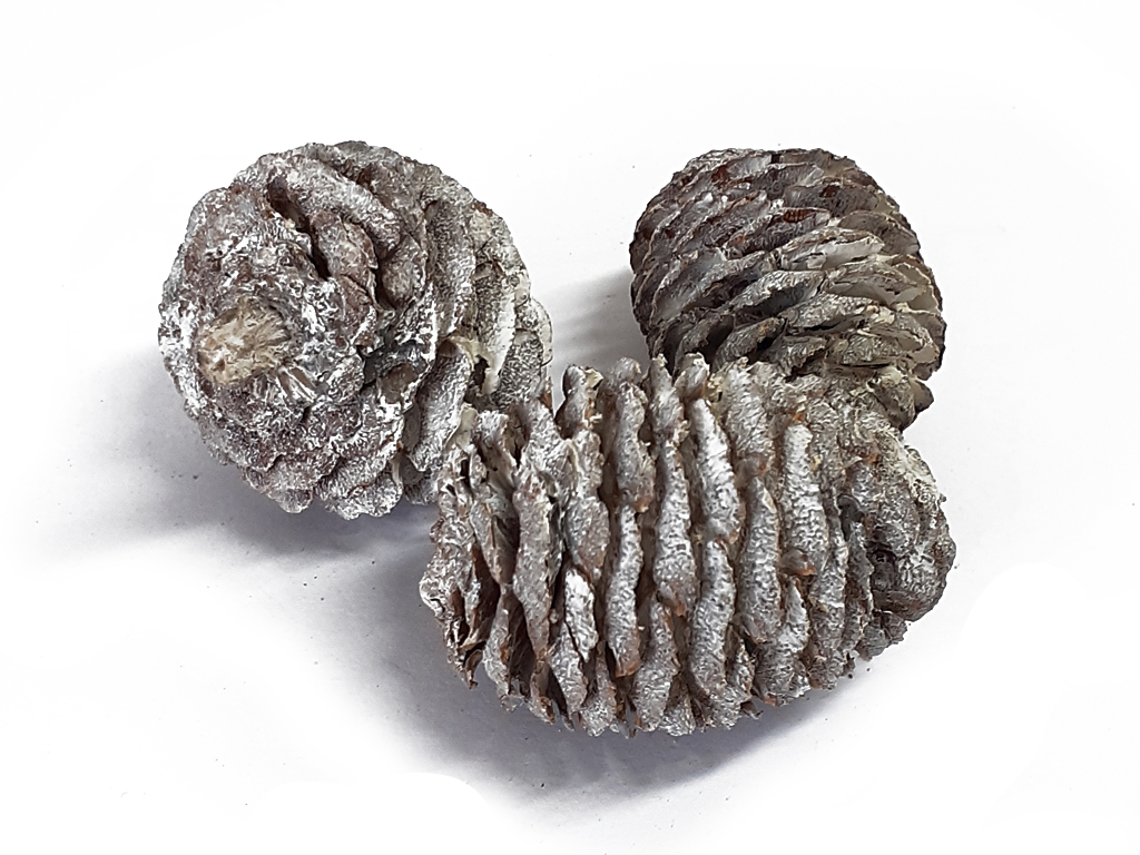 Muini loose vintage 500 g naturální