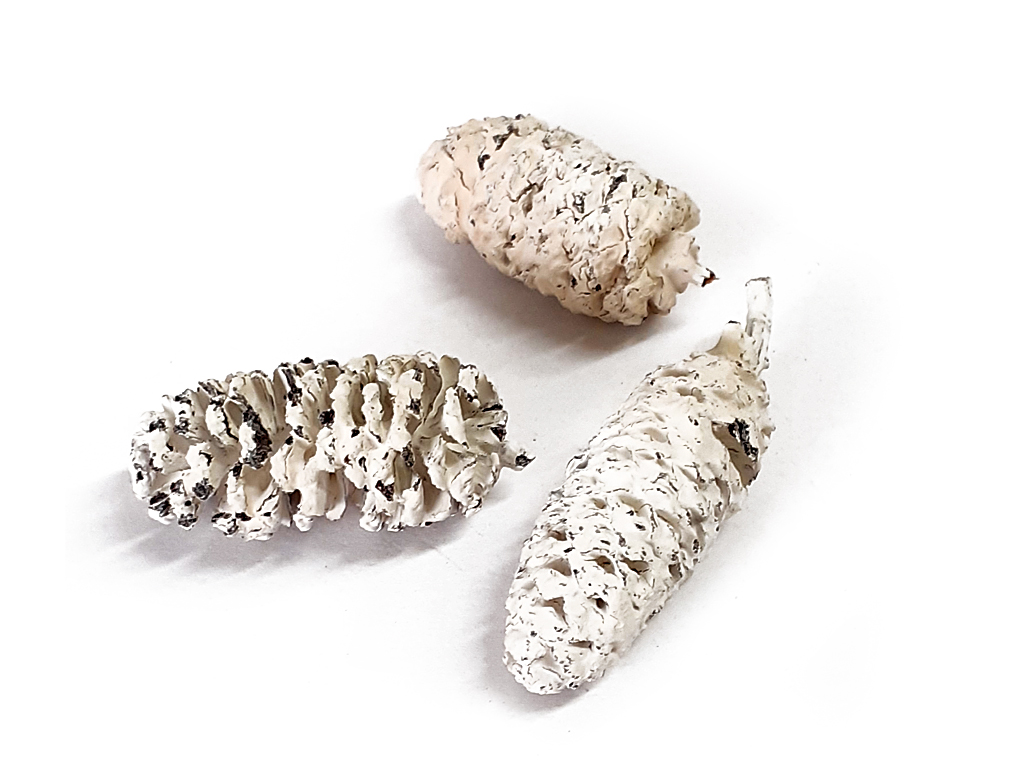 Birch pine 250g bílá