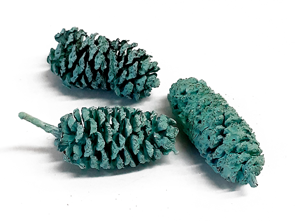 Birch pine 250 g zelenkavá