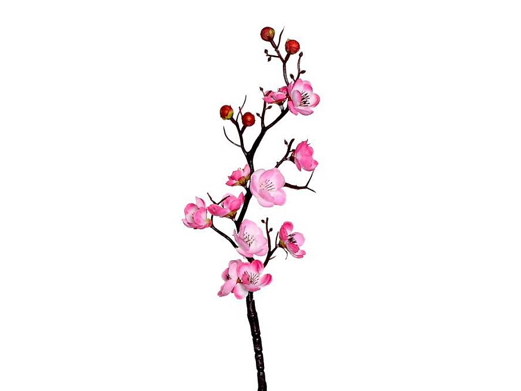 Větev švestka růžová 60cm