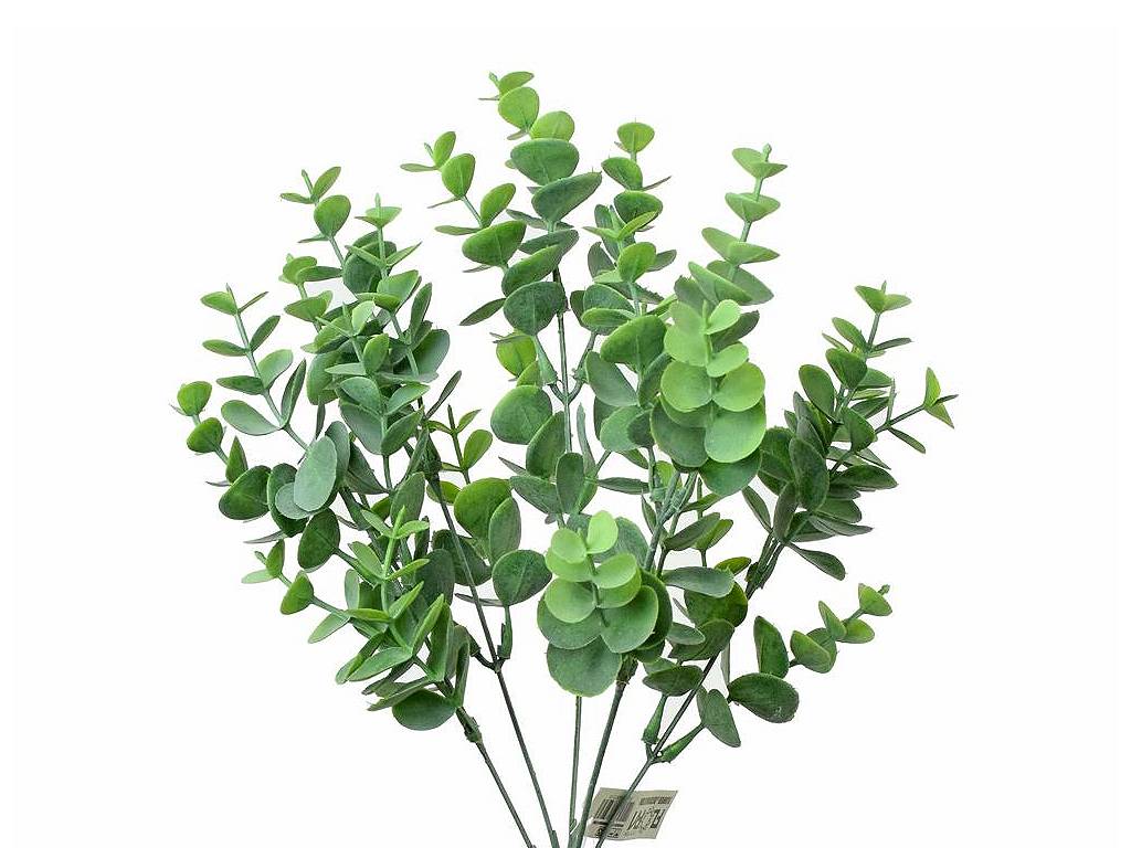 Eucalyptus zelený 36 cm
