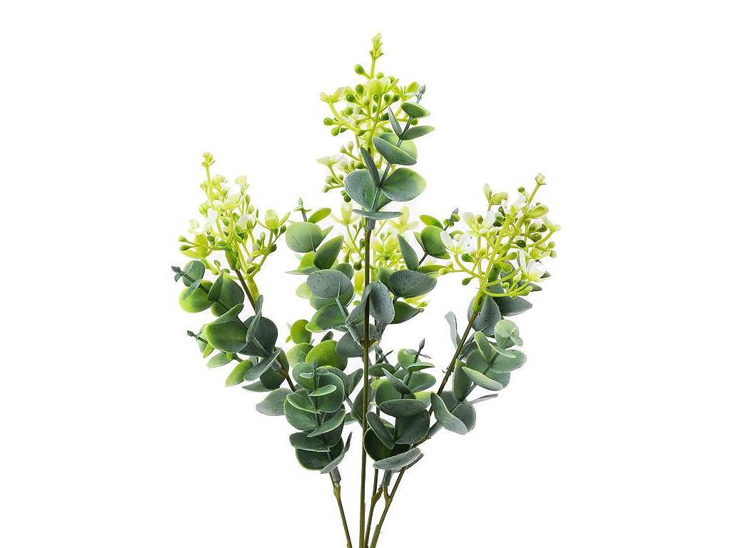 Eucalyptus bílé bobulky kvítky 34 cm
