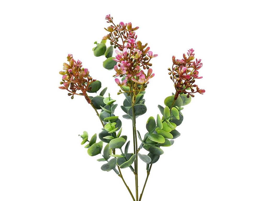 Eucalyptus růžové bobulky kvítky 30 cm