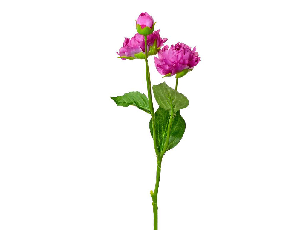 Pivoňka 52 cm světle růžová