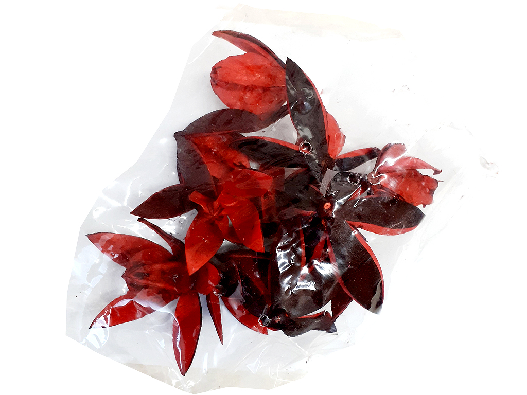 Lily loose lakovaná červená