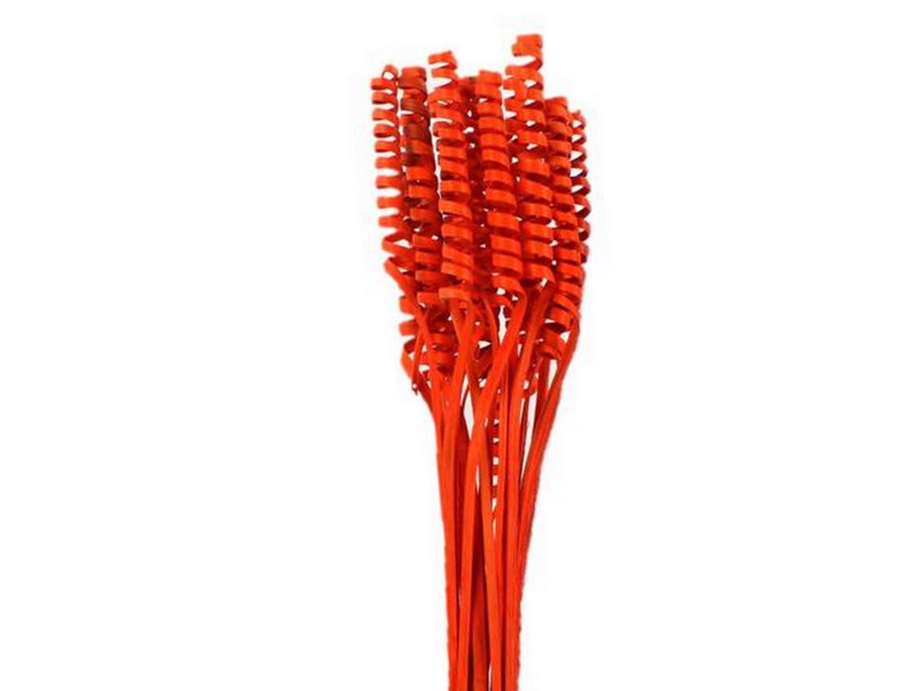 Cane spring big oranžový