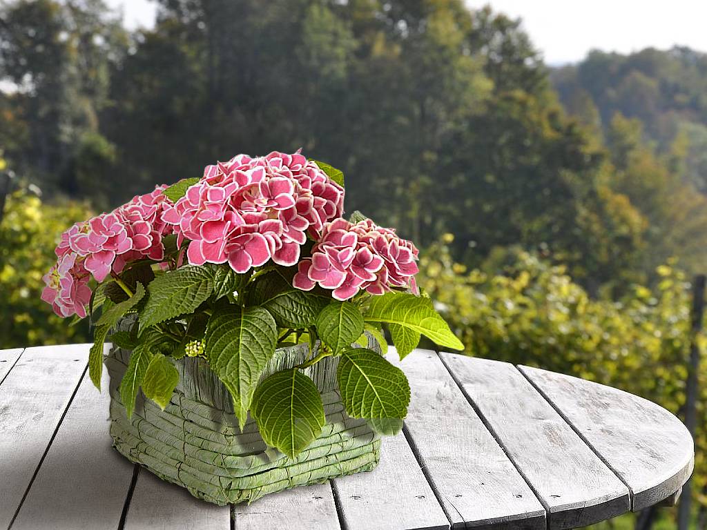 Obal na květináč 15 cm čtverec color