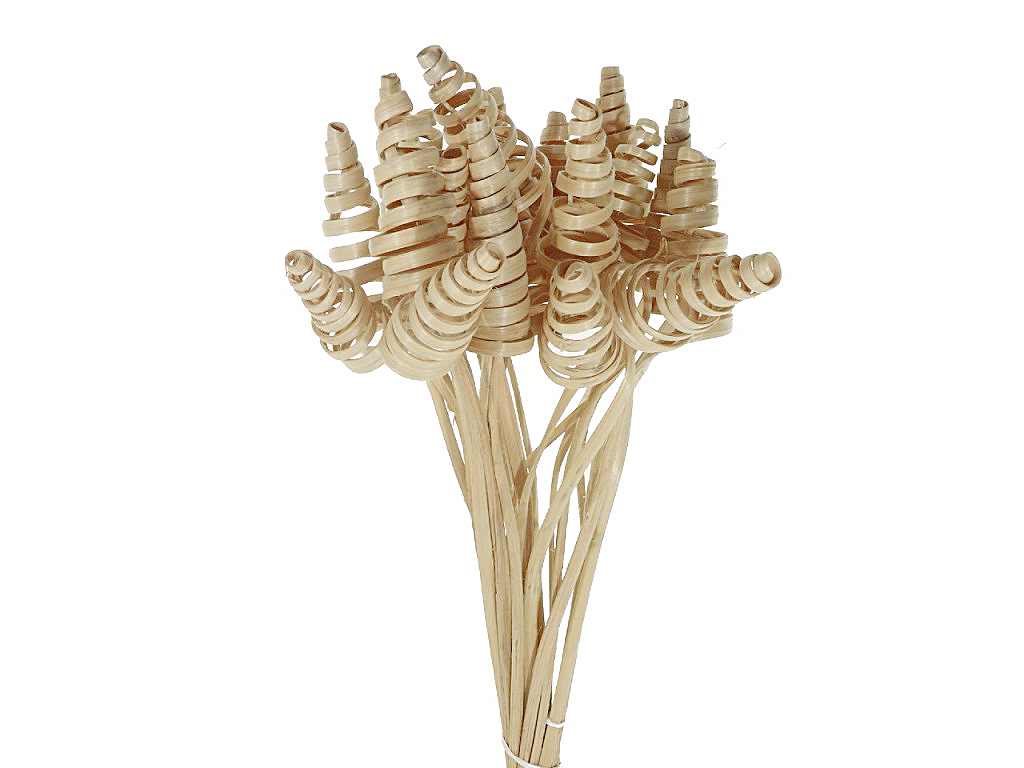 Palm cone natural