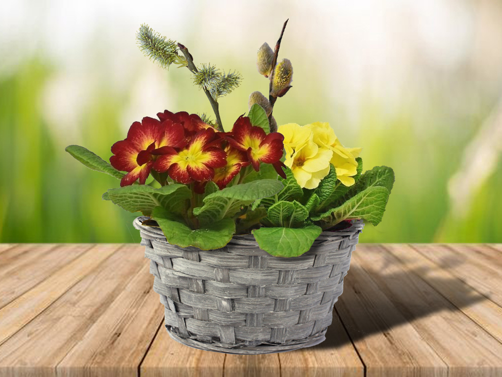 Miska proutí 20cm kulatá šedá