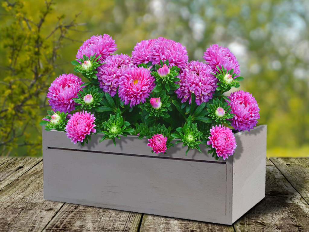 Truhlík dřevo 30cmx18cm šedý obdelník