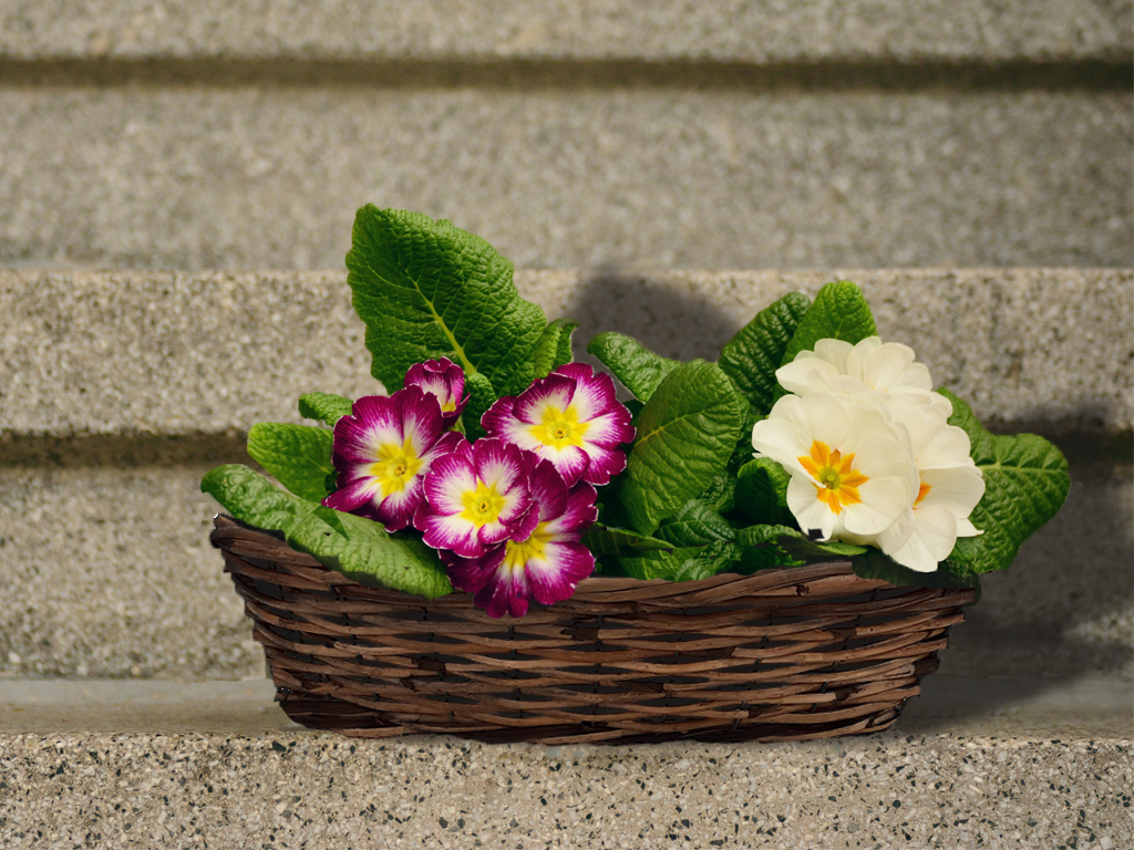 Obal proutí loď 54cmx19cm natural