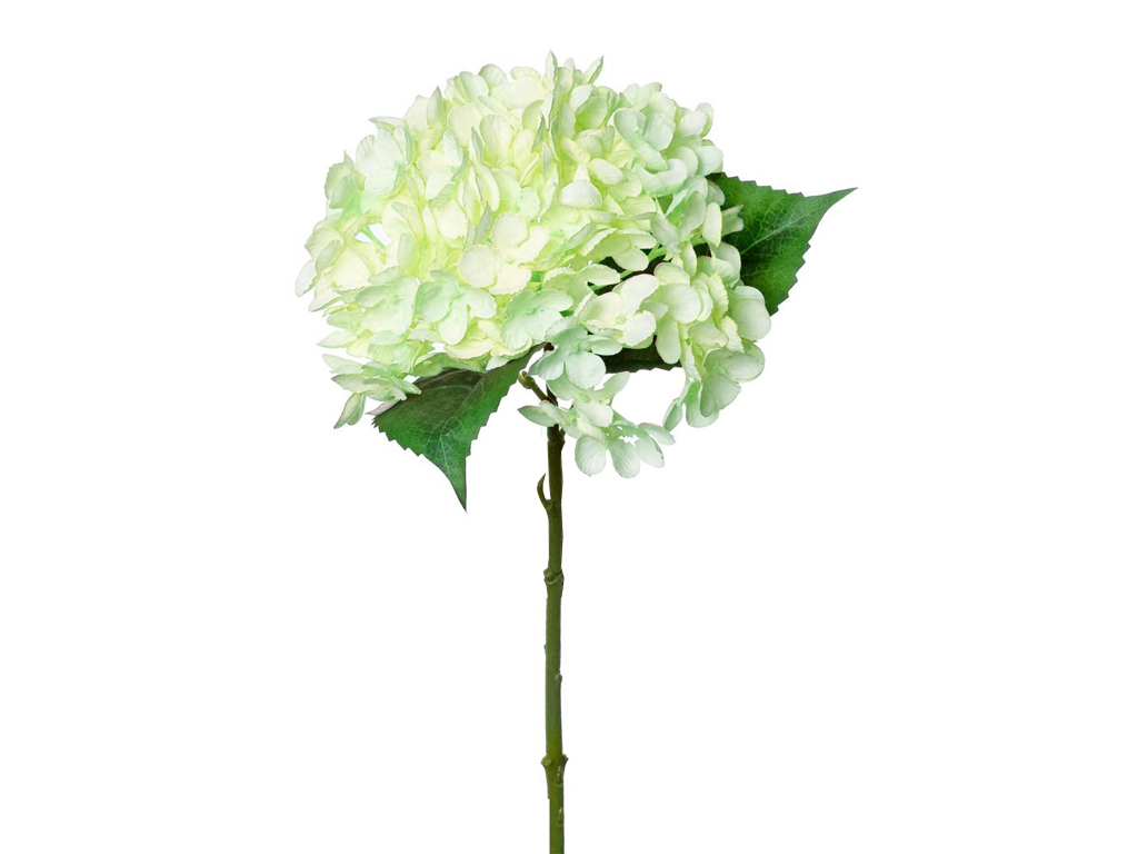 Hortenzie 32 cm zelená