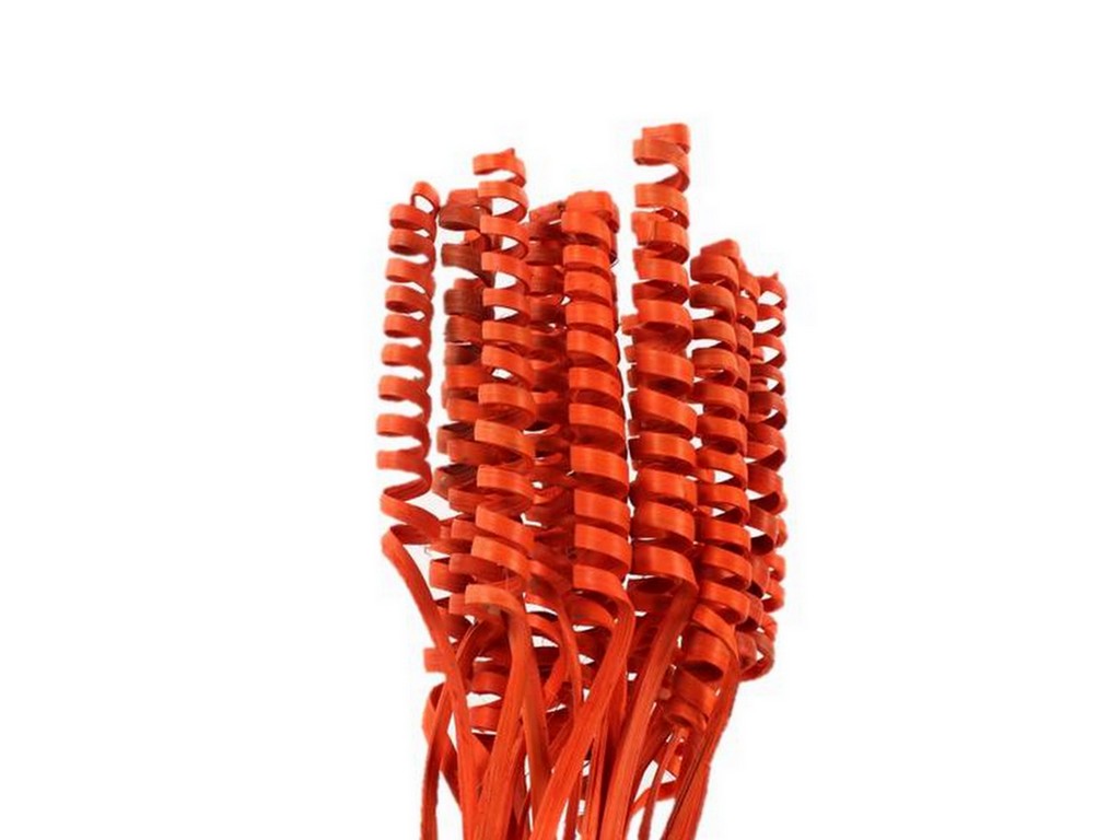 Cane spring big oranžový